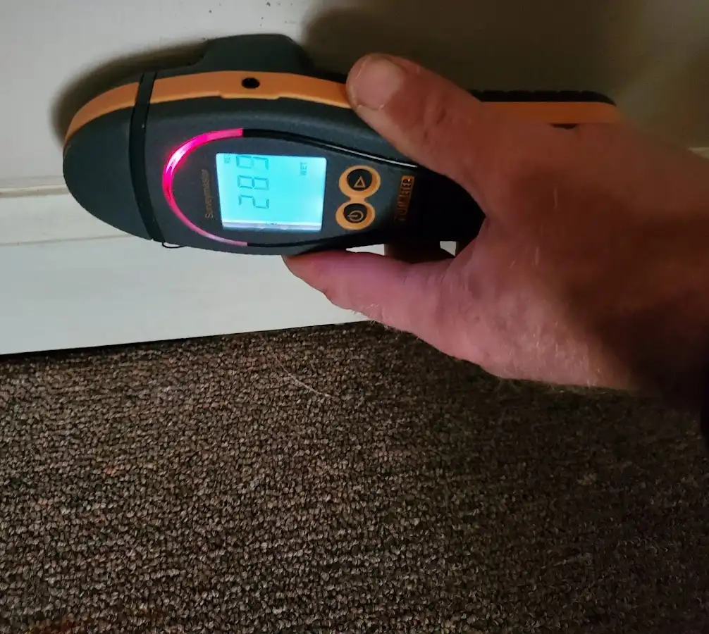 Moisture detection at baseboard during Sewage Cleanup & Sanitation in Vernal